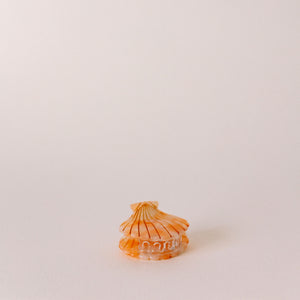 Shell Hair Clip