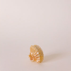 Shell Hair Clip