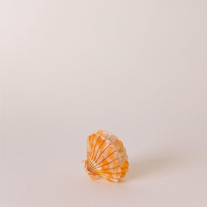 Shell Hair Clip