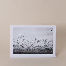 Load image into Gallery viewer, Nick Pumphrey Birds Greeting Card
