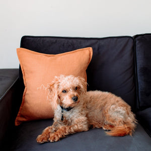 Rusty skyline cushion